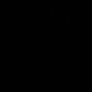 Meet your Posher, Sidney